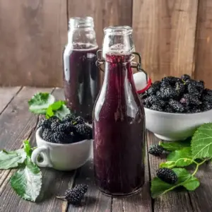 Organik Dut Sirkesi 500 ml